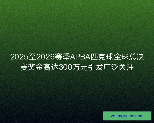 2025至2026赛季APBA匹克球全球总决赛奖金高达300万元引发广泛关注